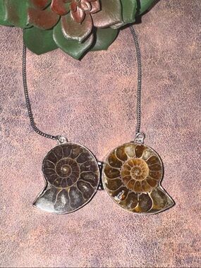 Silver Double  Ammonite Fossil  Necklace